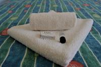 The Woodland Hotel 6